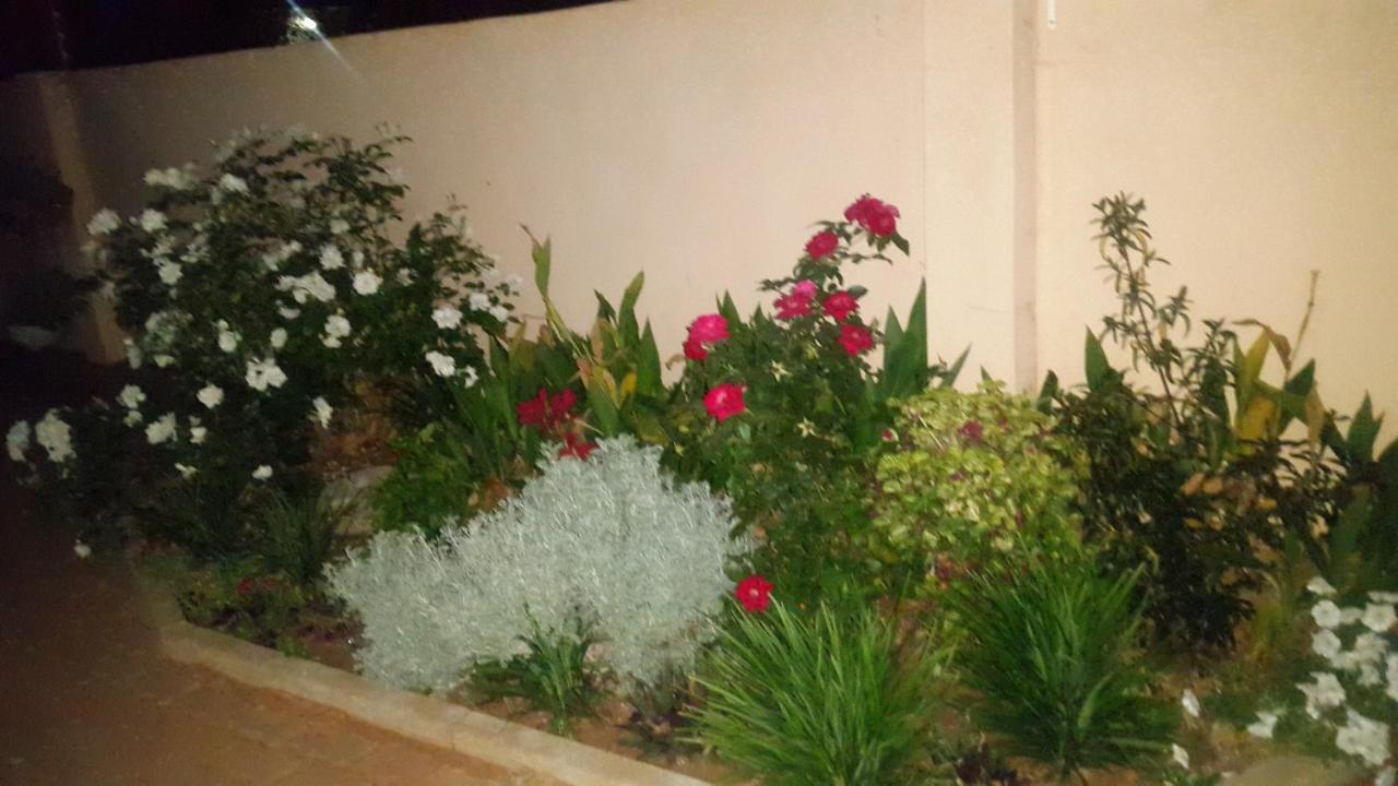 Tintech Bed & Breakfast Francistown Buitenkant foto